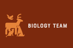 Biology team